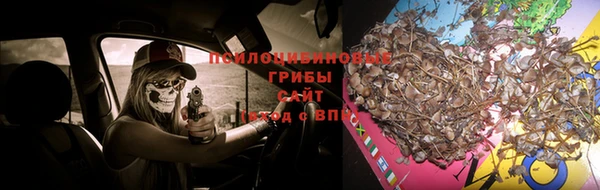 spice Абаза