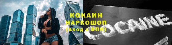 СК Покачи