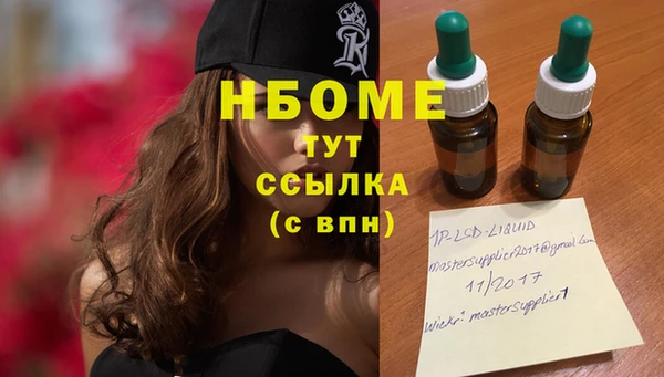 индика Абдулино