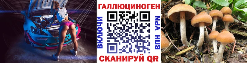 маркетплейс как зайти Вытегра Галлюциногенные грибы Psilocybe как найти закладки OMG ONION